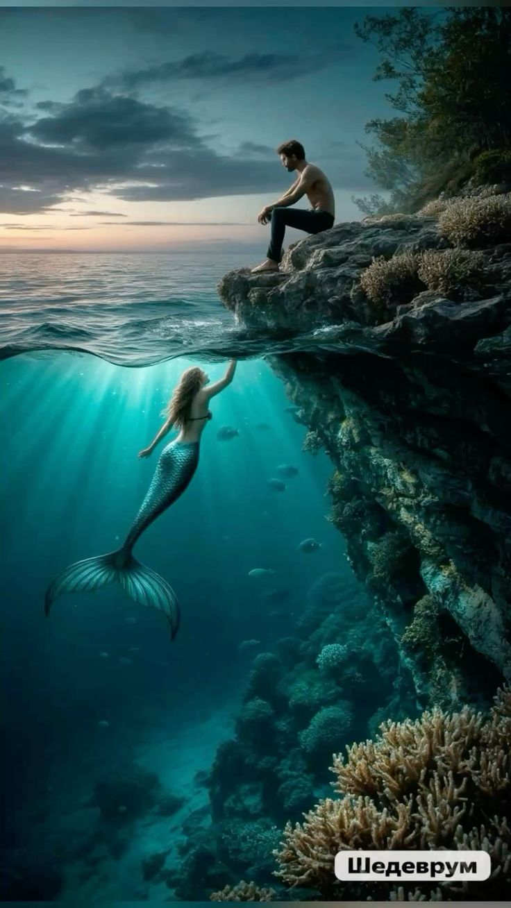 سفينة الحمقى تقودها غاوية